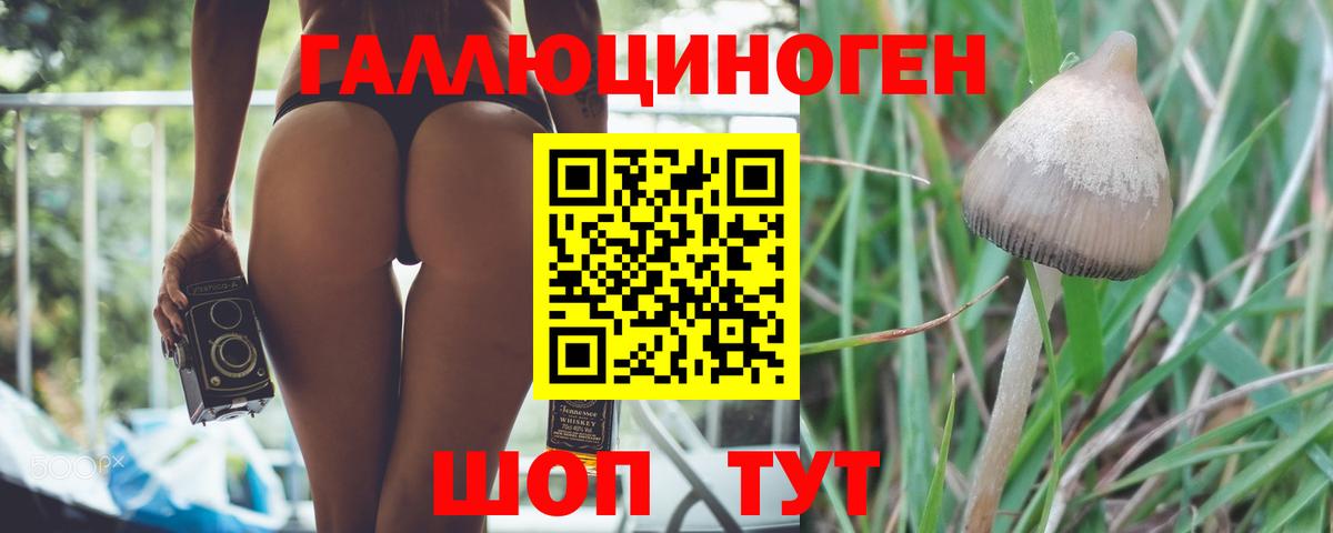 Псилоцибиновые грибы Magic Shrooms Лосино-Петровский